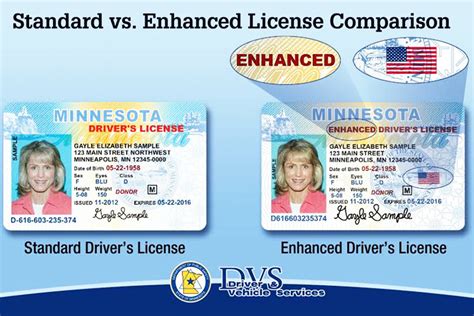 rfid chip in enhanced driver's license mn|dhs enhanced driver's license.